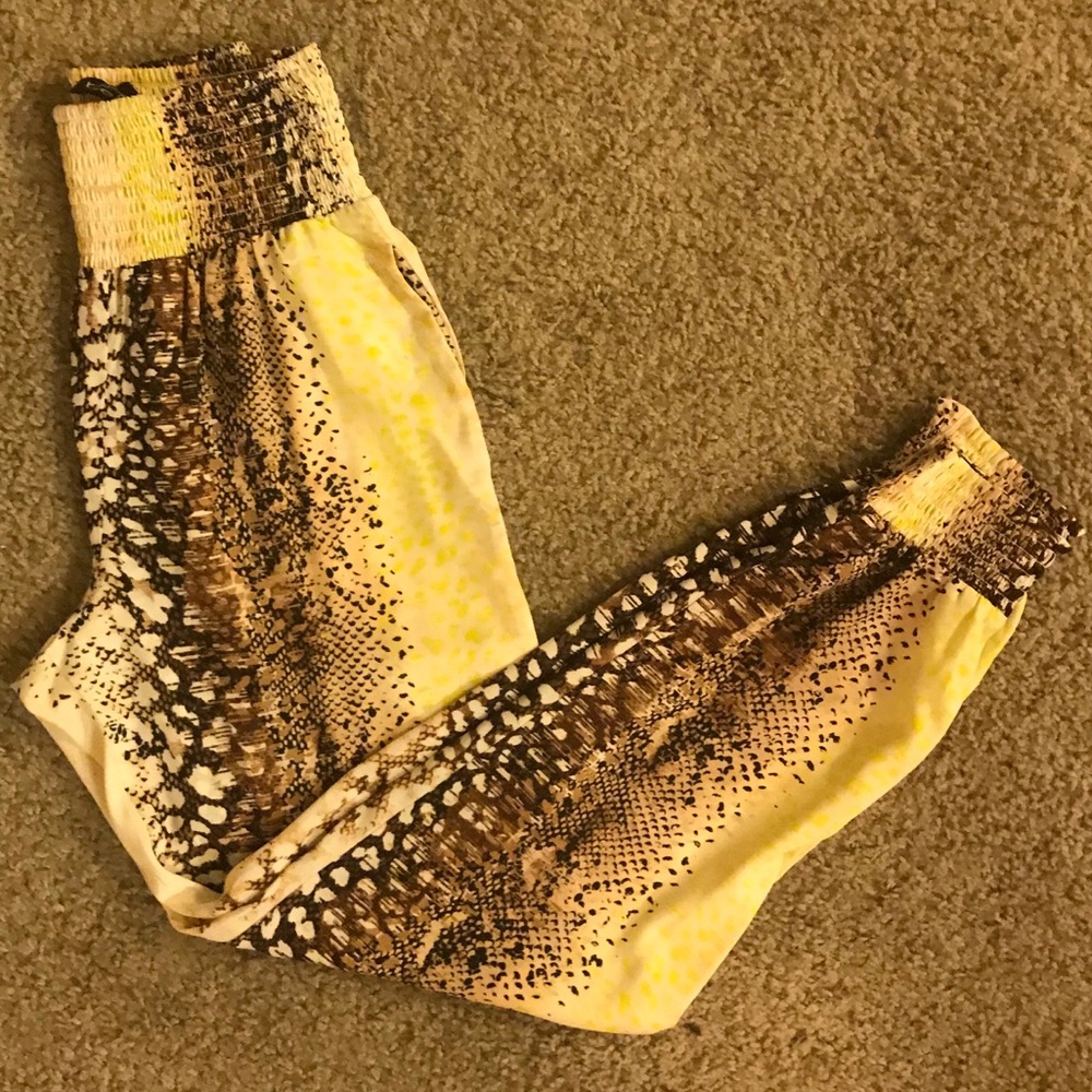 Bebe multicolored Printed Joggers
